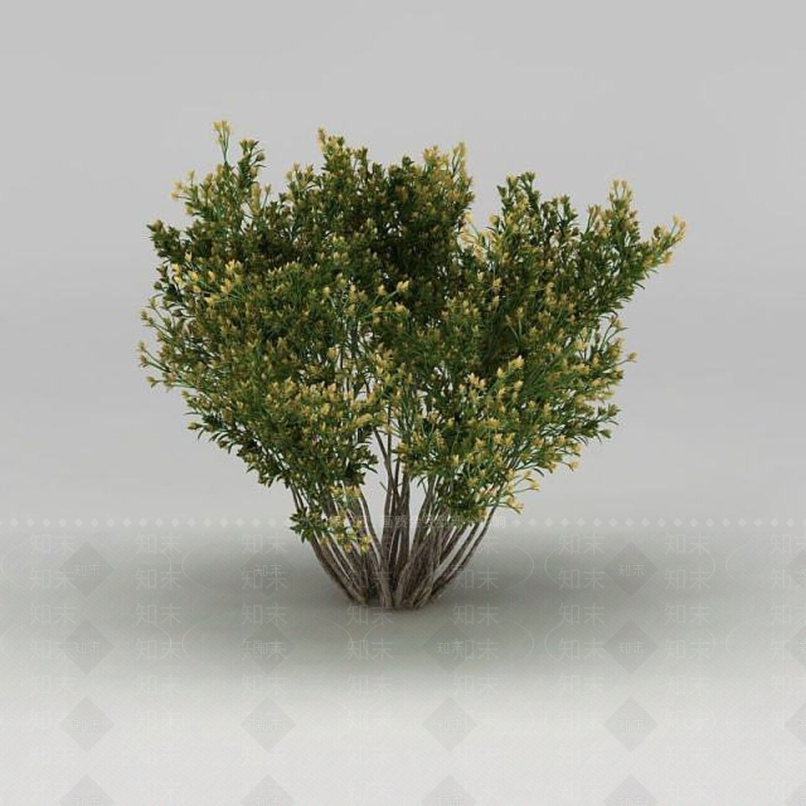 现代园林景观灌木3D模型下载【ID:1188831855】