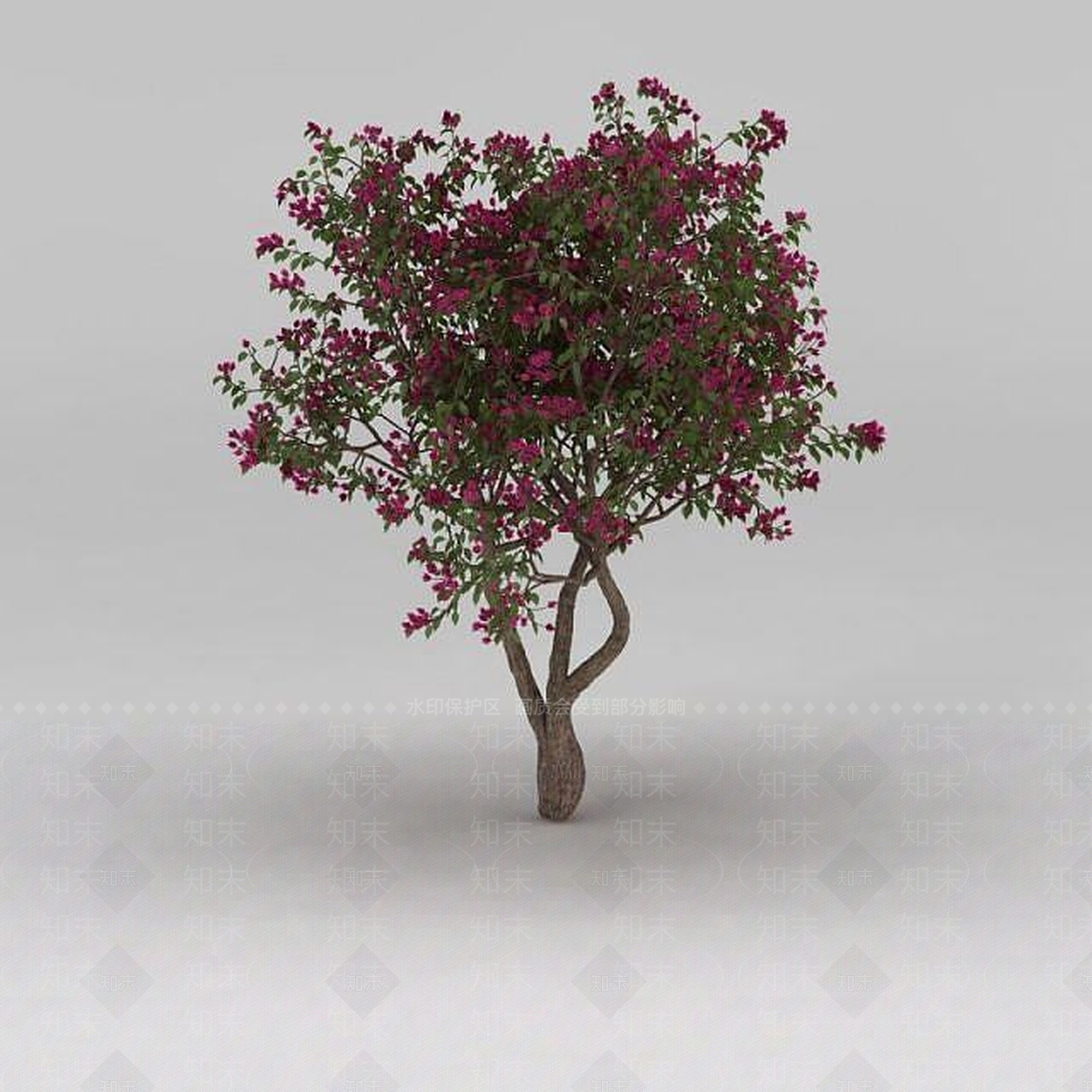 现代开花小乔木3D模型下载【ID:1188831899】