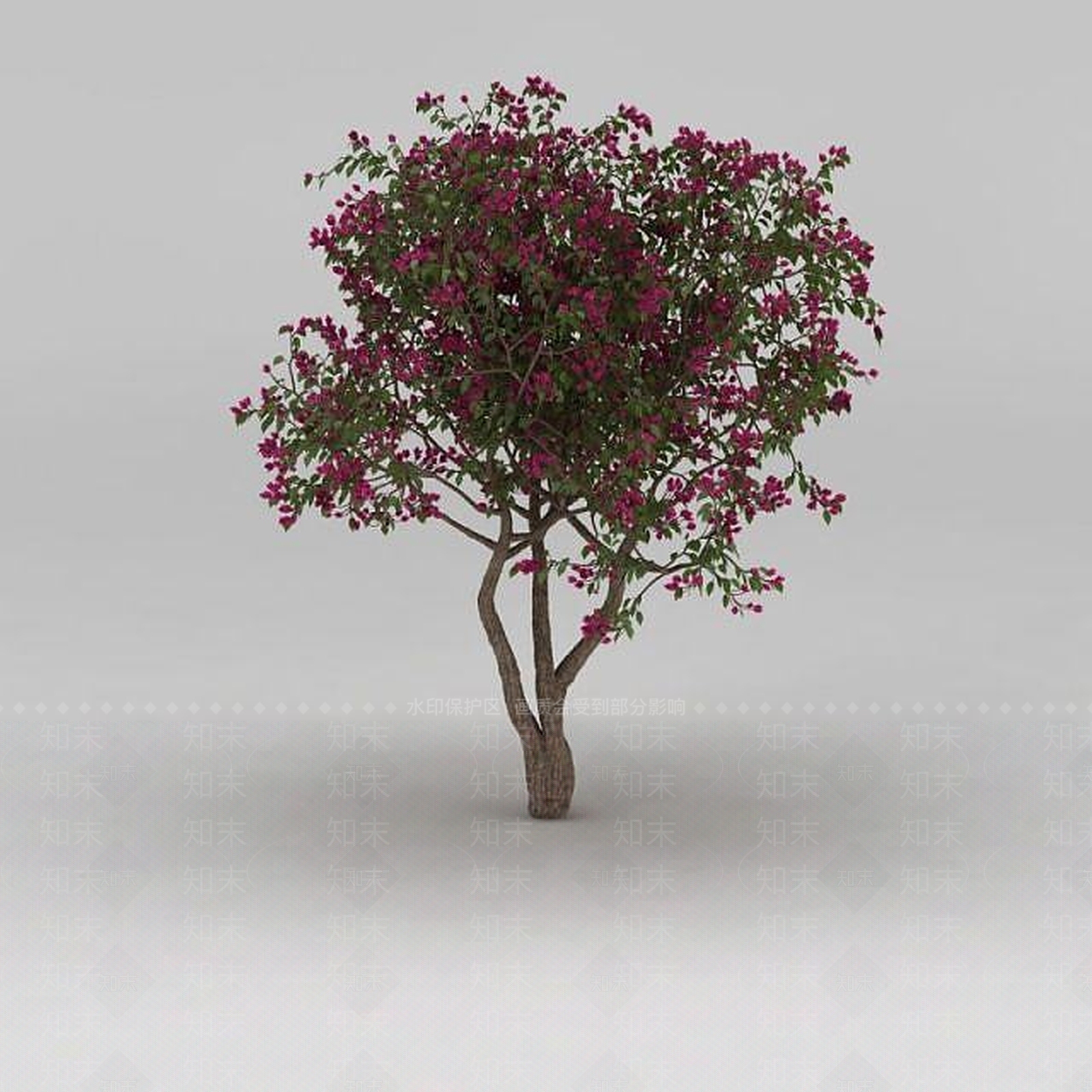 现代开花小乔木3D模型下载【ID:1188831899】