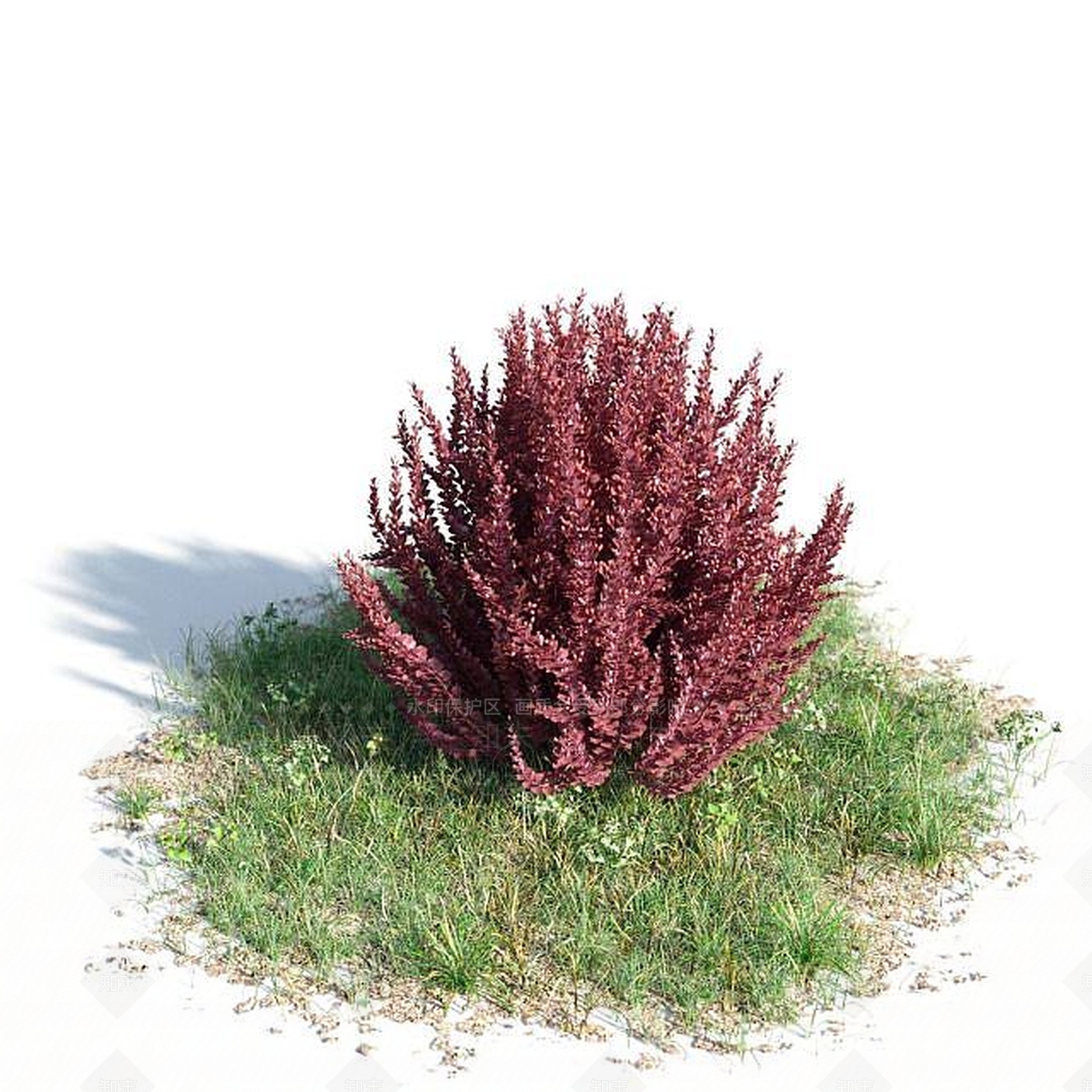 现代公园观赏植物3D模型下载【ID:1188831914】