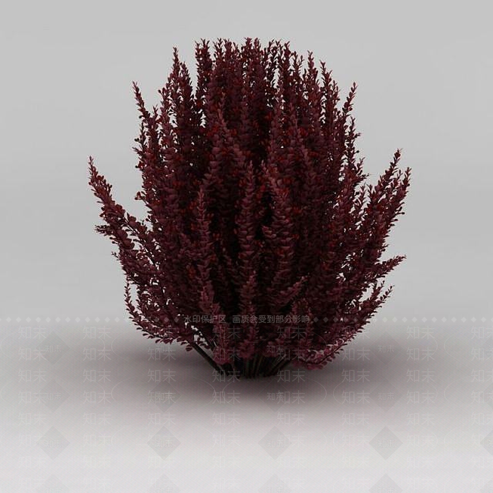现代公园观赏植物3D模型下载【ID:1188831914】