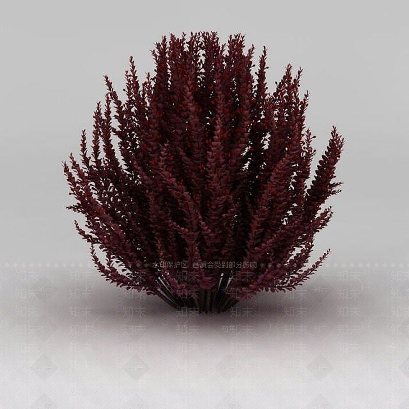 现代公园观赏植物3D模型下载【ID:1188831914】