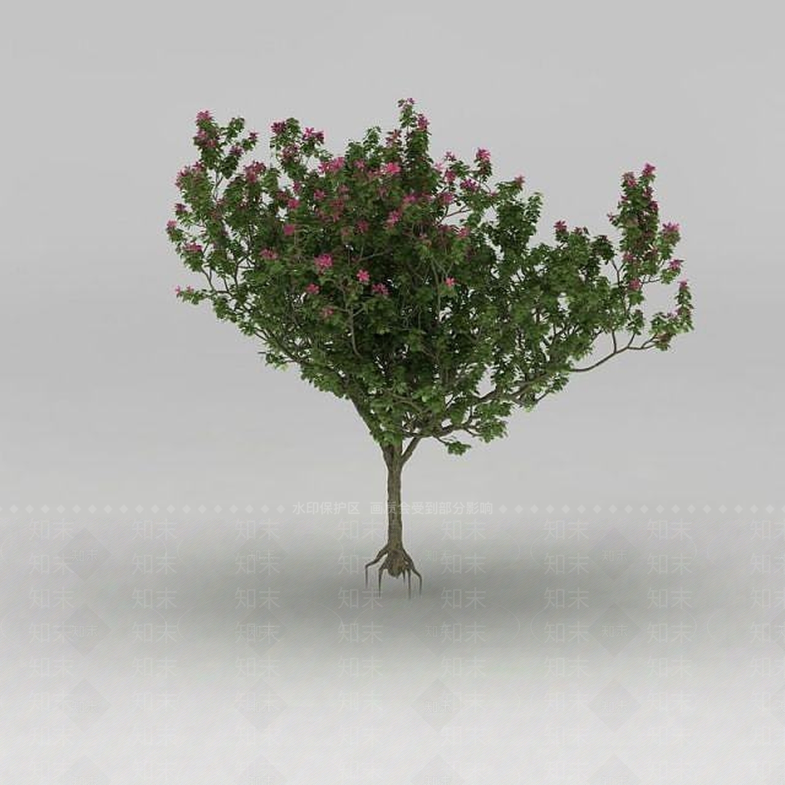 现代园林景观小乔木3D模型下载【ID:1188832492】
