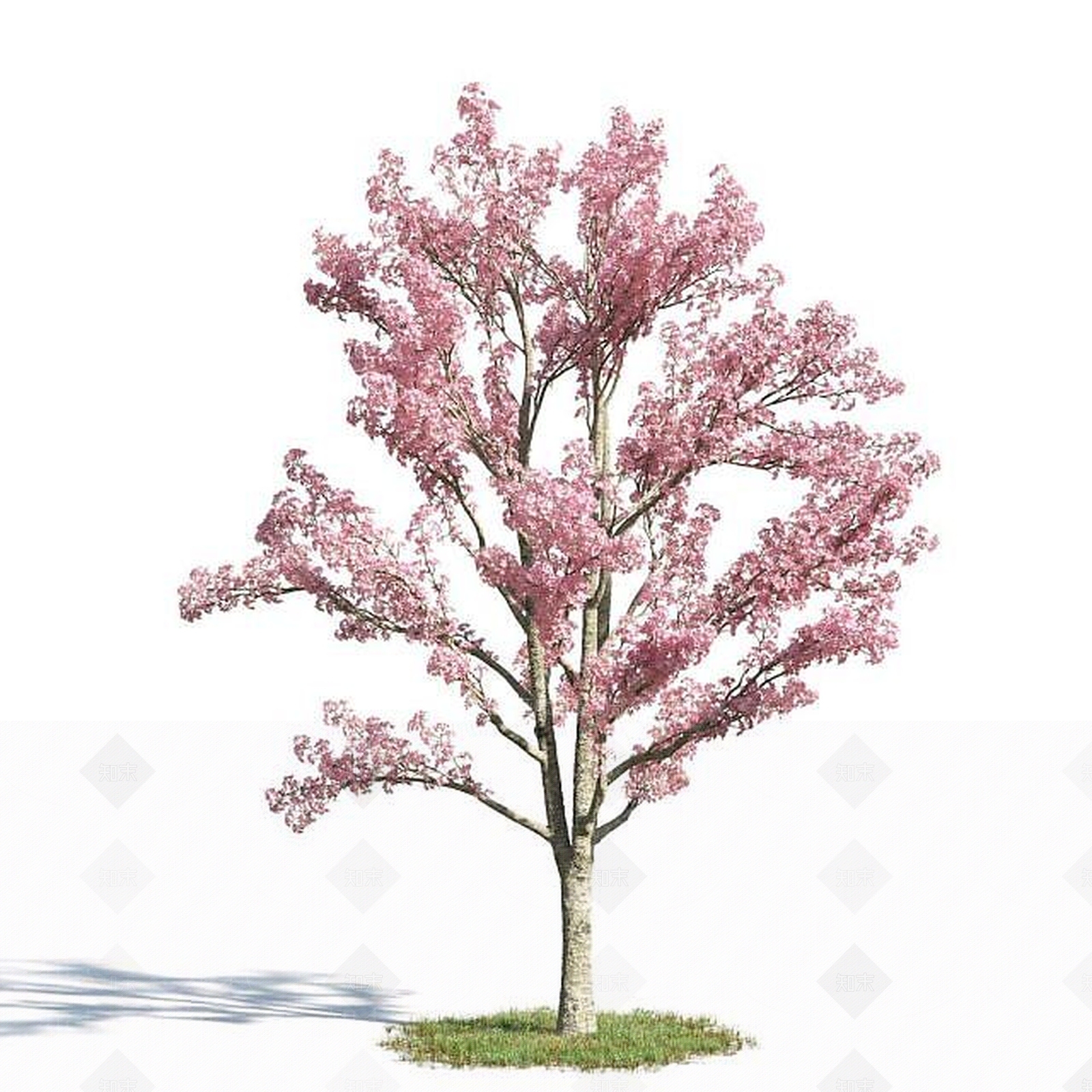 现代园林景观乔木3D模型下载【ID:1188833247】