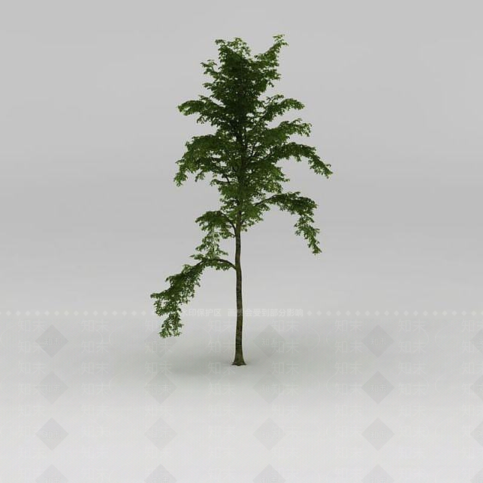 现代景观乔木3D模型下载【ID:1188845239】