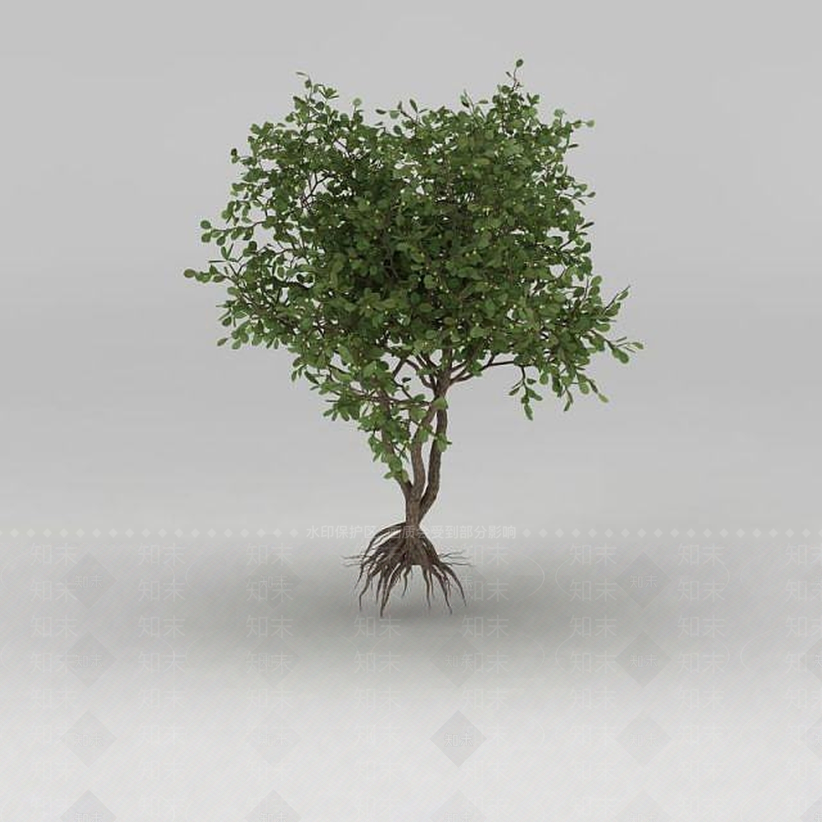 现代园林乔木3D模型下载【ID:1188845355】