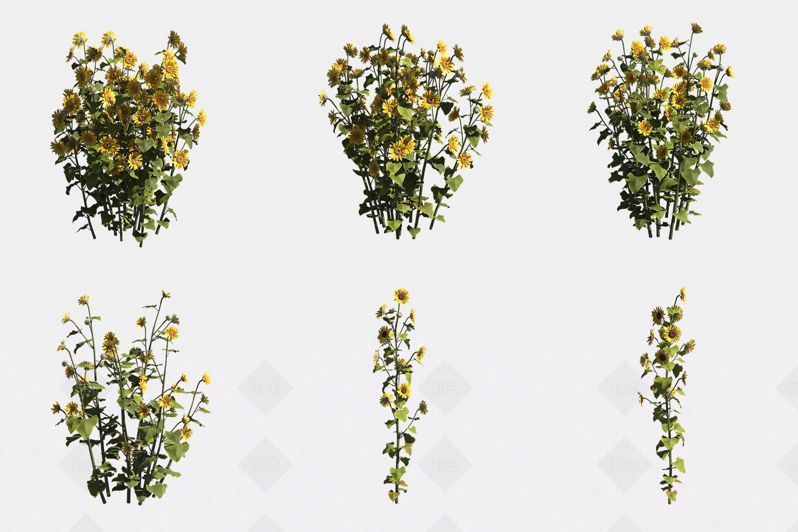 花草组合3D模型下载【ID:1188857671】