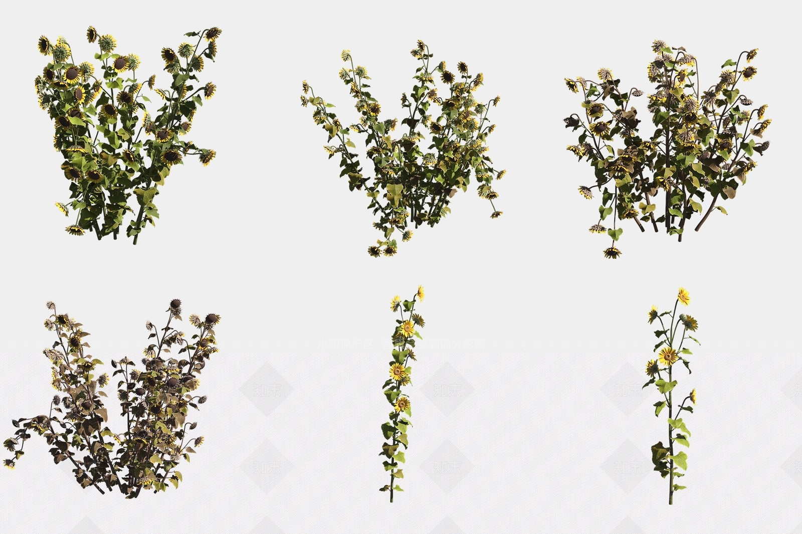 花草组合3D模型下载【ID:1188857778】