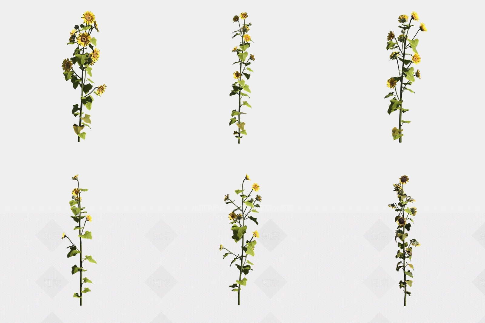花草组合3D模型下载【ID:1188858024】
