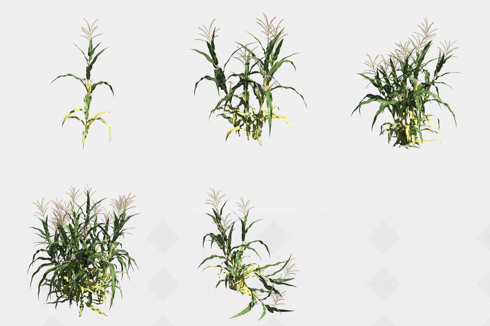 农作物3D模型下载【ID:1188858983】