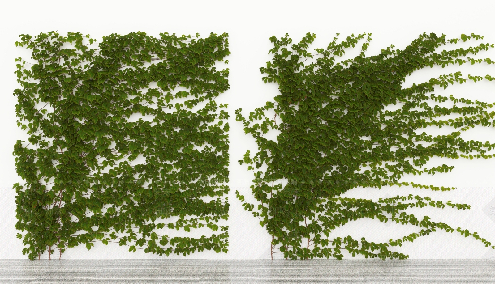 藤蔓3D模型下载【ID:1188859222】