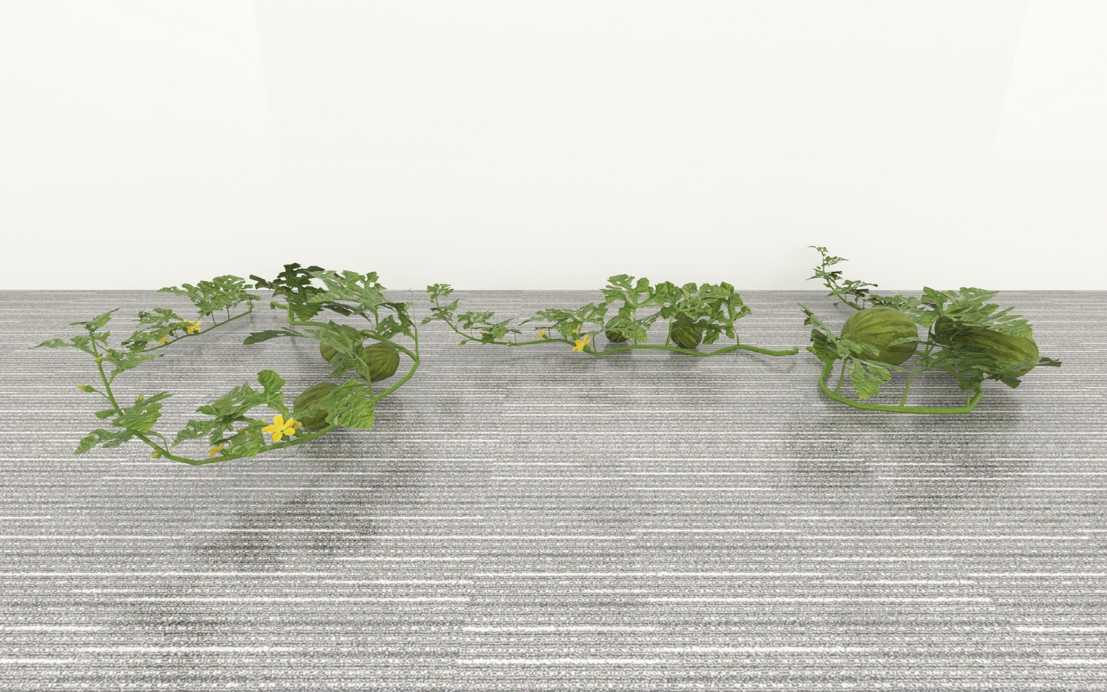 藤蔓3D模型下载【ID:1188861261】