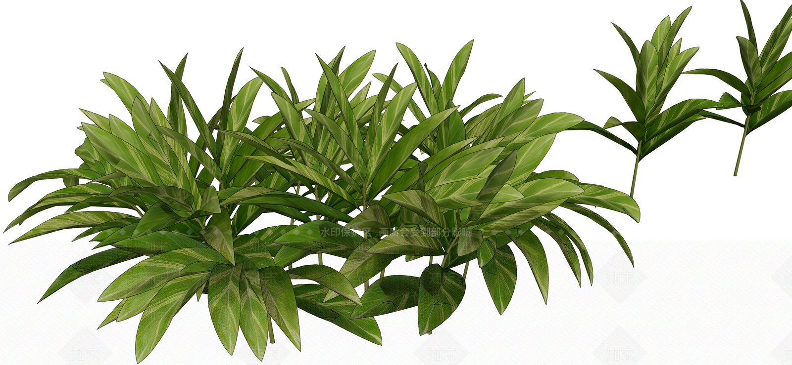 灌木SU模型下载【ID:1188874925】