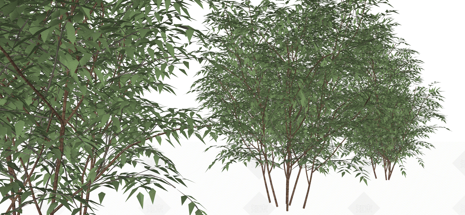 灌木SU模型下载【ID:1188878596】