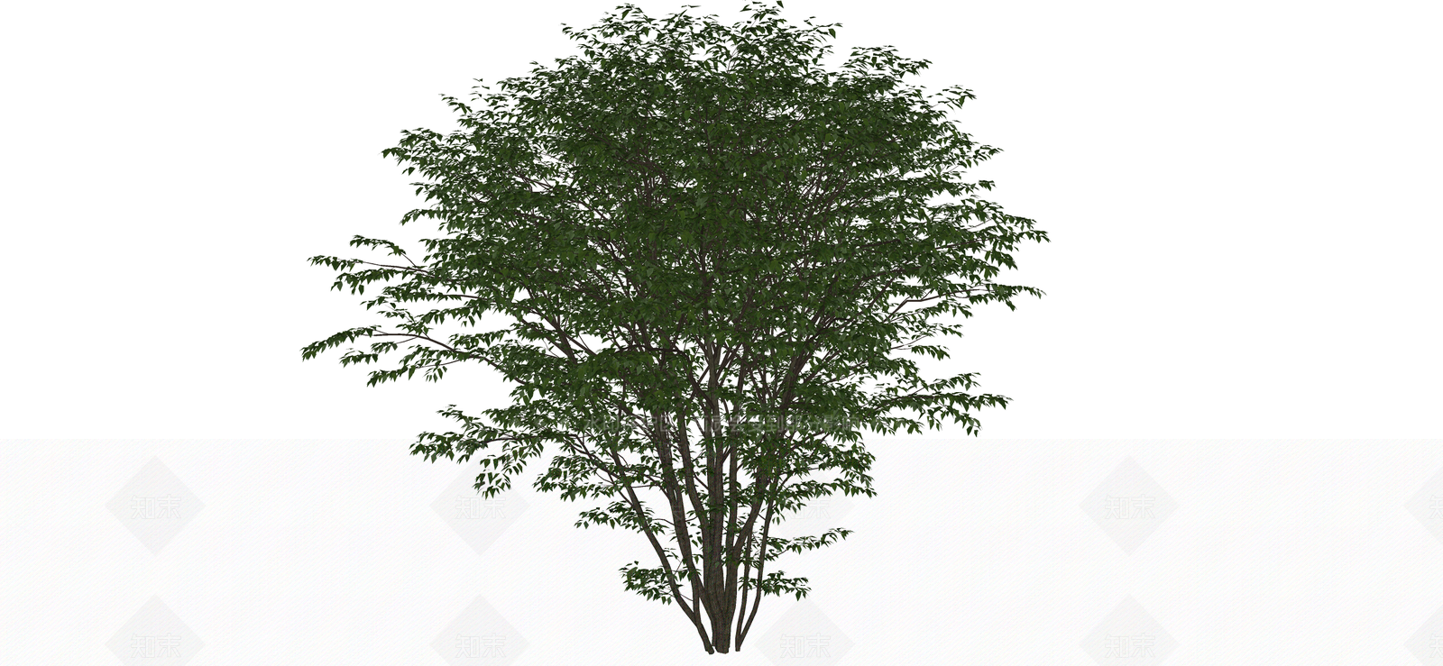 灌木SU模型下载【ID:1188884433】