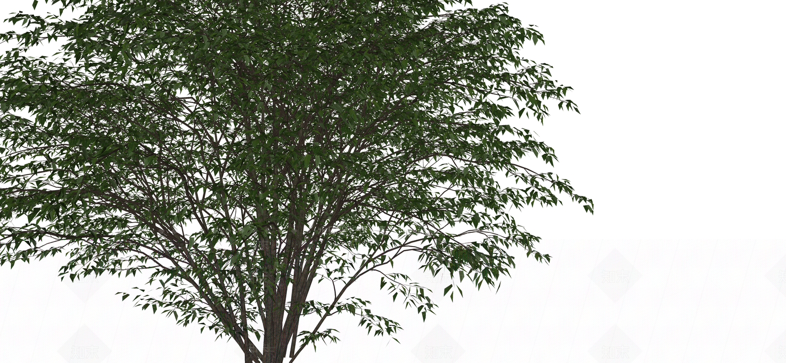 灌木SU模型下载【ID:1188884433】