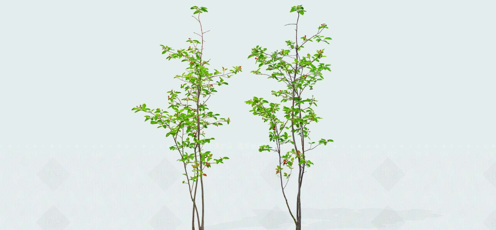 灌木SU模型下载【ID:1188885258】