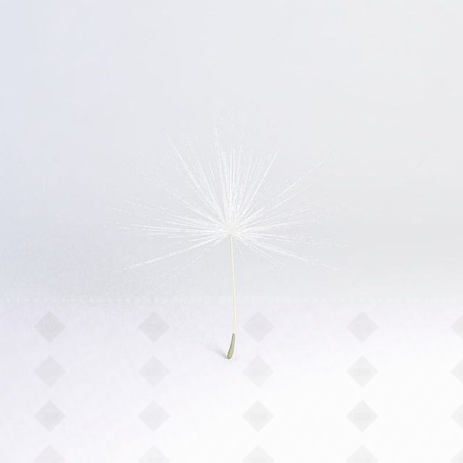 现代花3D模型渲染效果图