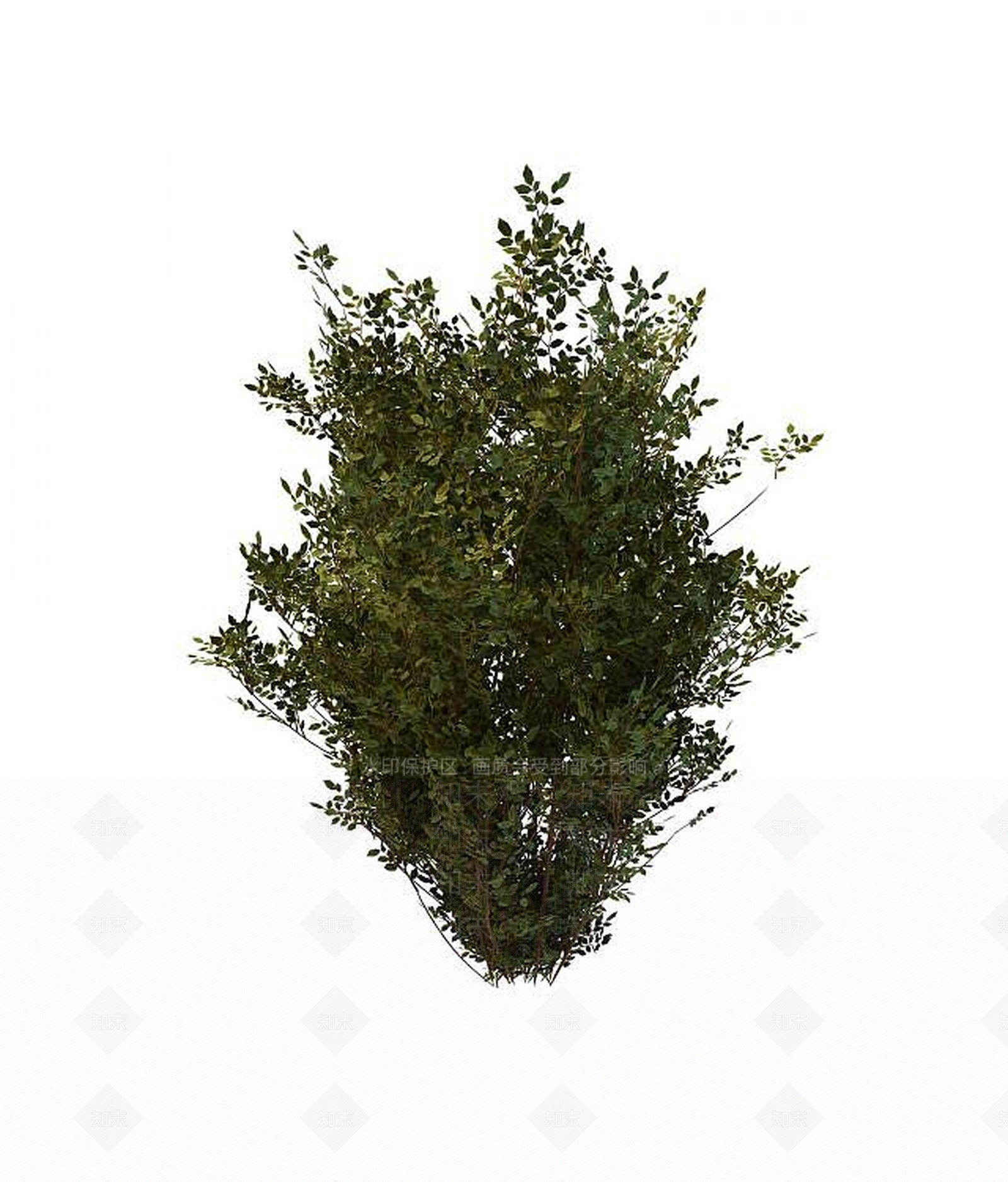 现代灌木3D模型下载【ID:1188916179】