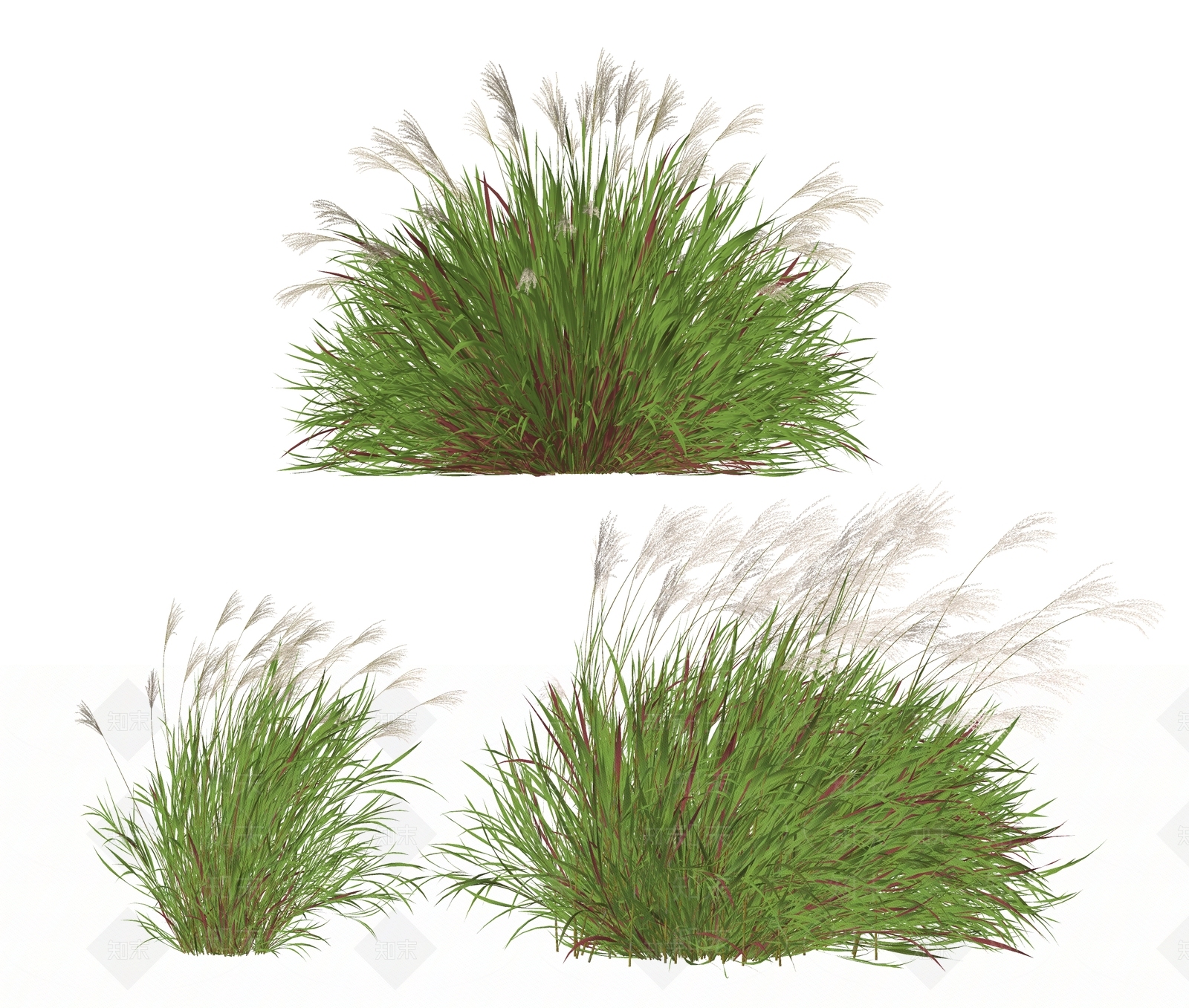 植物组合SU模型下载【ID:1188960530】