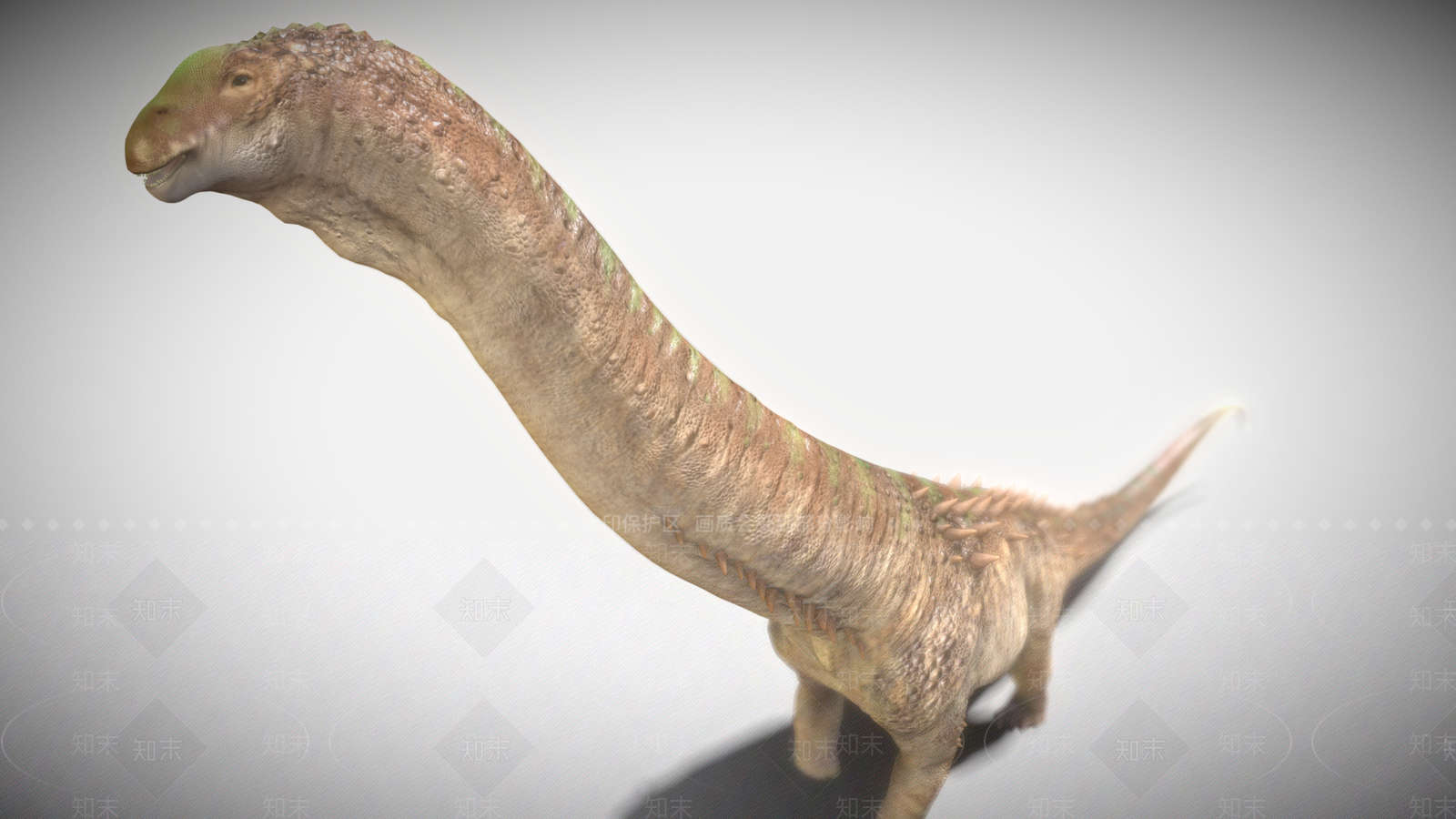 爬行类动物3D模型下载【ID:1188977212】