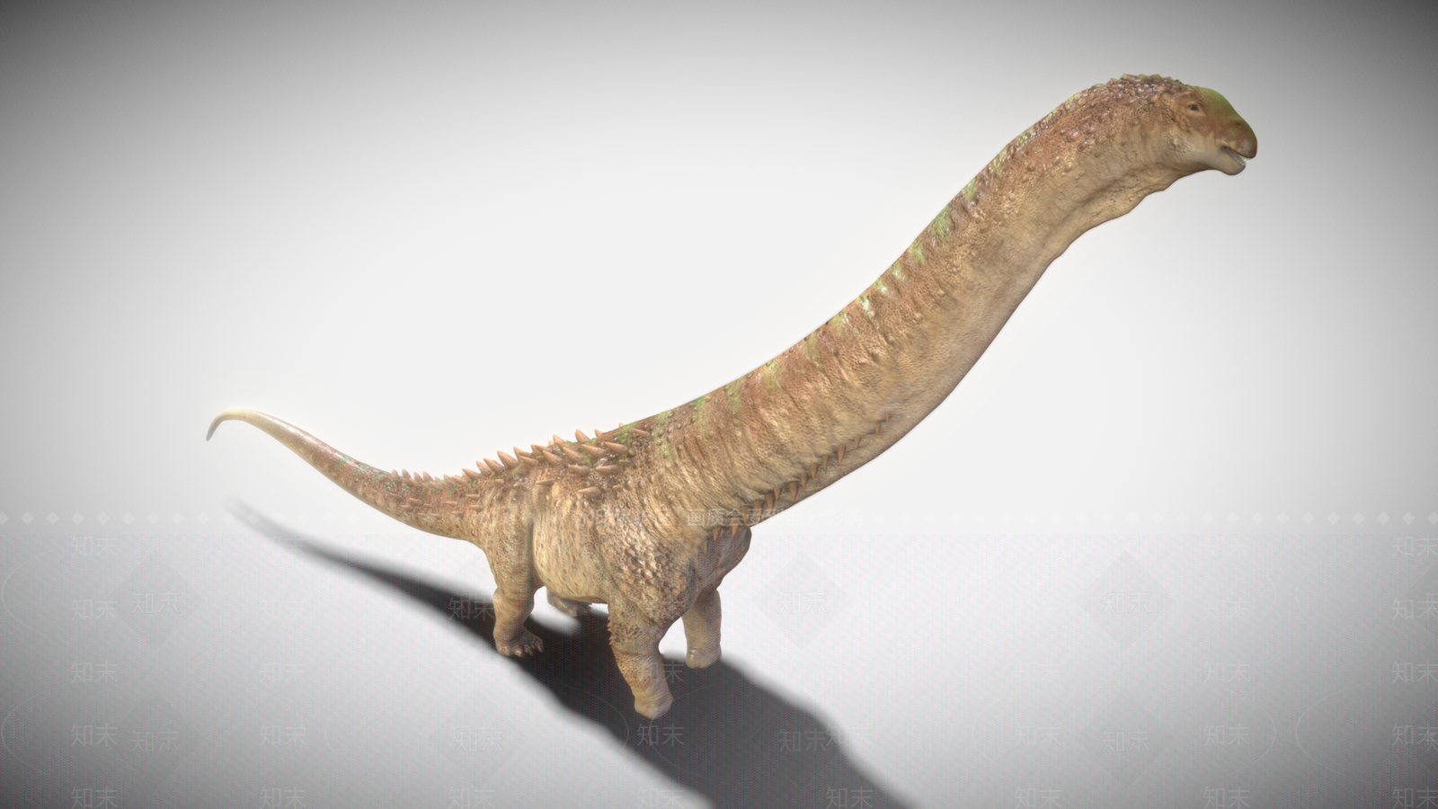 爬行类动物3D模型下载【ID:1188977212】