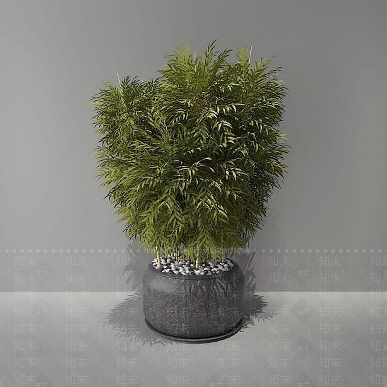 现代竹子绿植盆栽3D模型下载【ID:1188992028】
