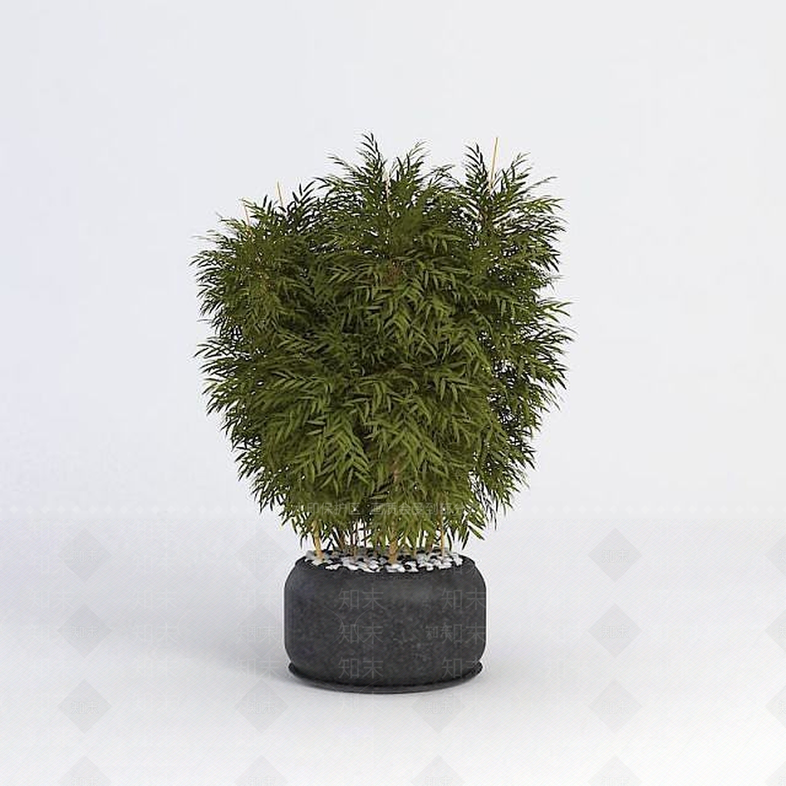 现代竹子绿植盆栽3D模型下载【ID:1188992028】