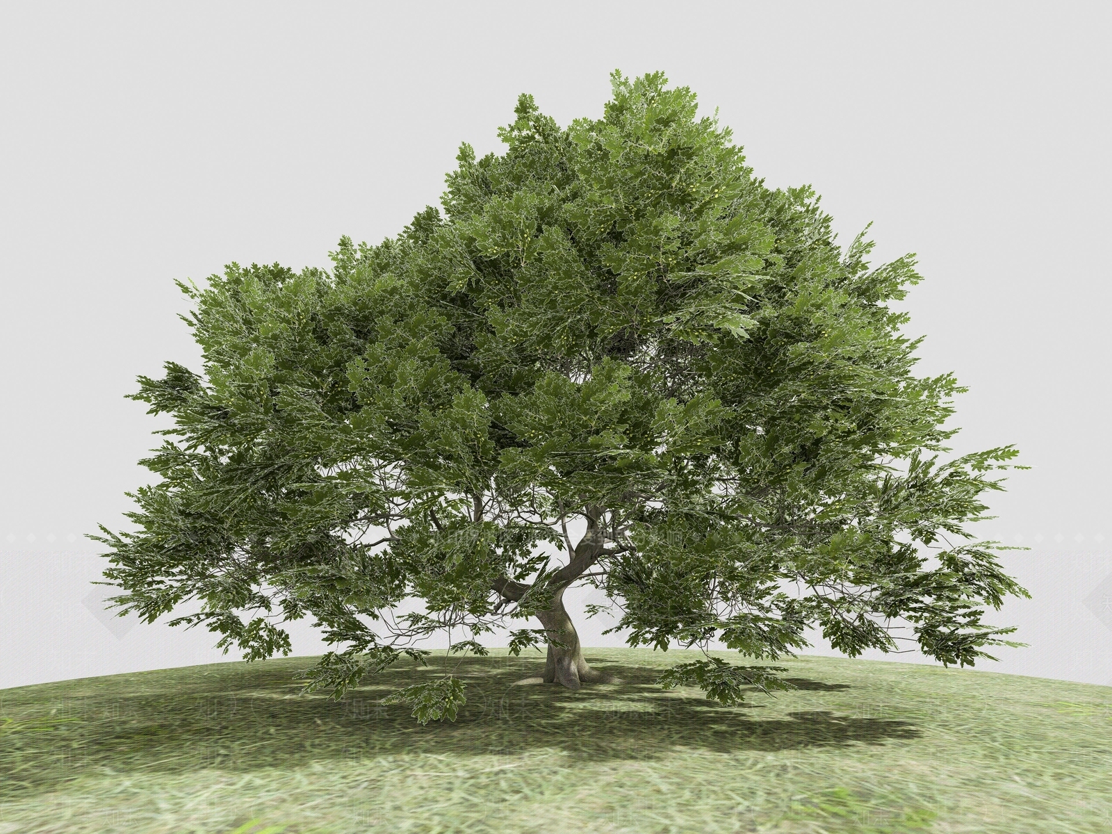 乔木SU模型下载【ID:1188993072】