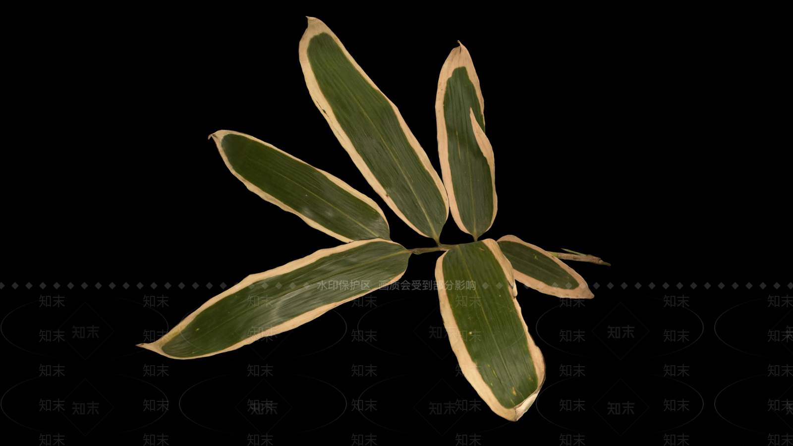 竹子3D模型下载【ID:1189015812】