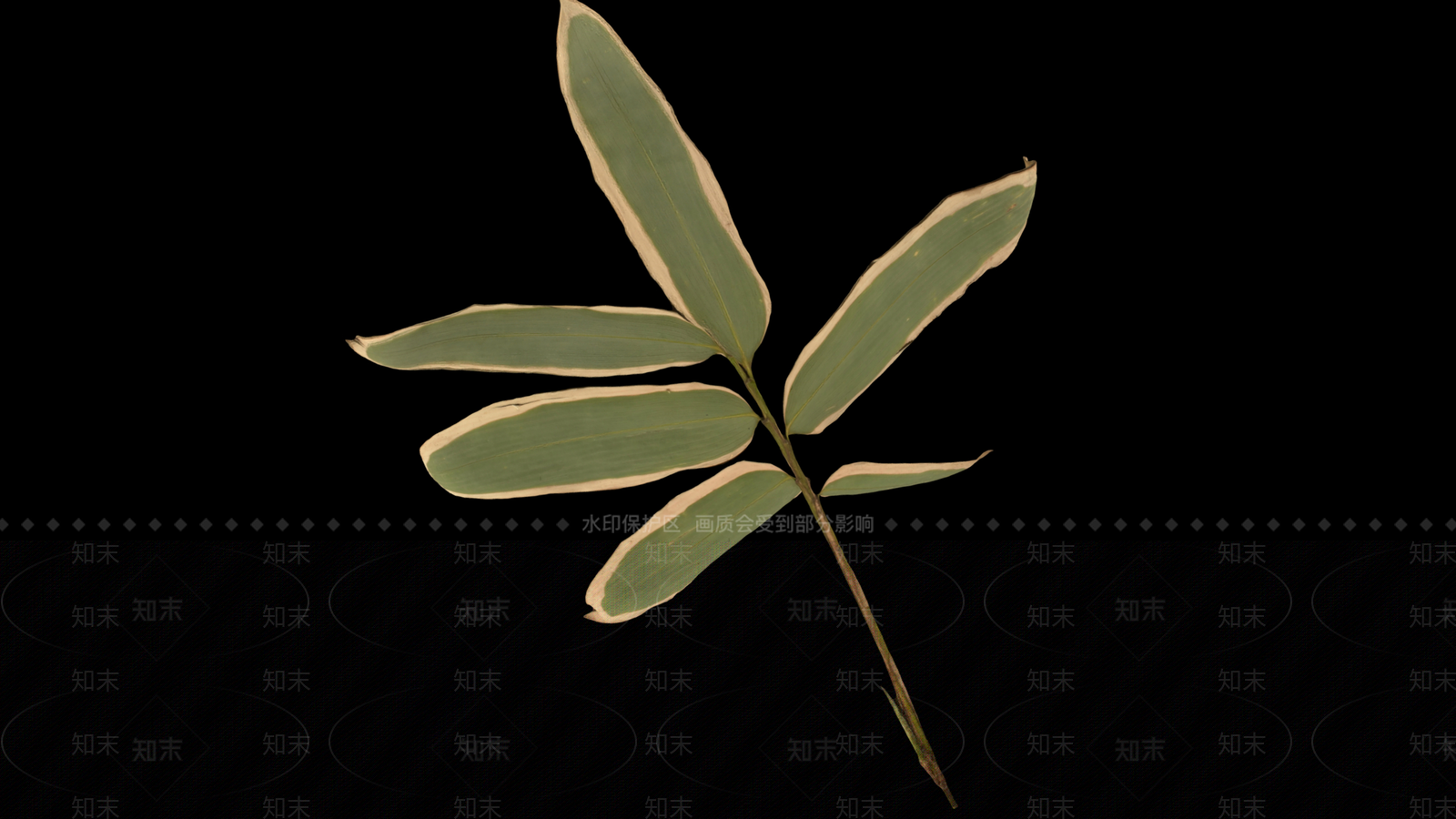 竹子3D模型下载【ID:1189015812】