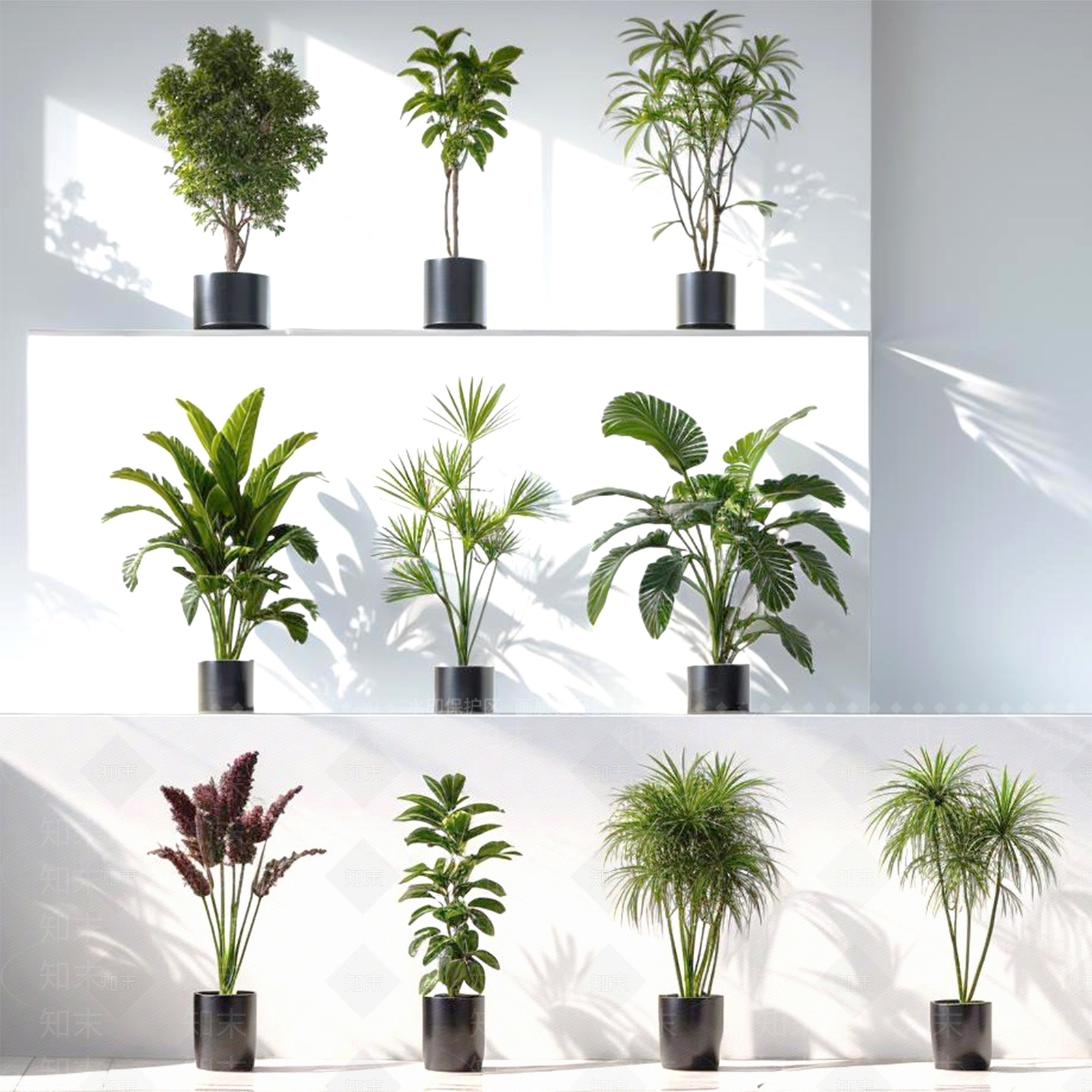 盆栽SU模型下载【ID:1189037311】