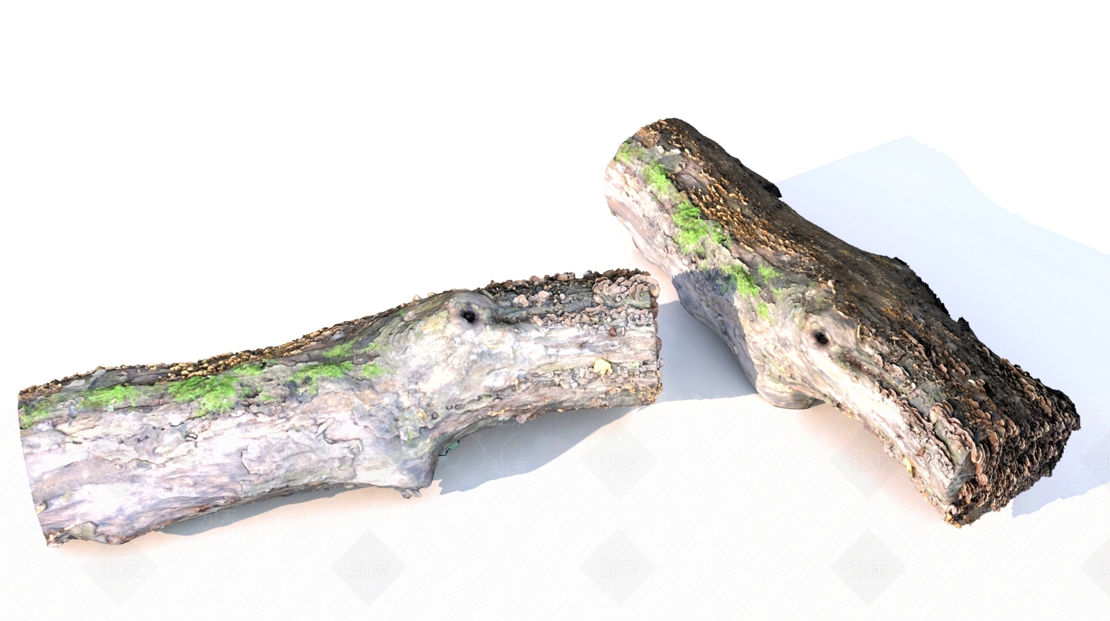 其他树木3D模型下载【ID:1189045232】
