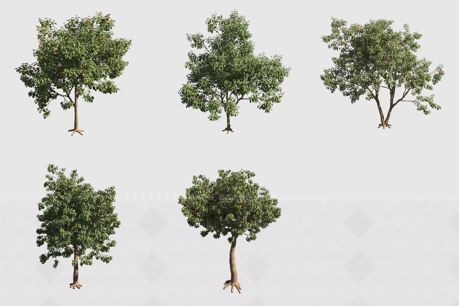 灌木3D模型下载【ID:1189057997】