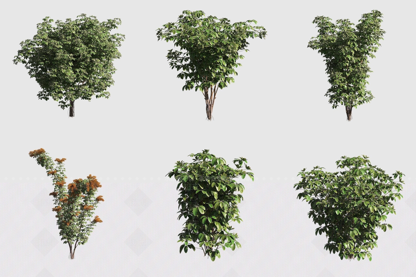 灌木3D模型下载【ID:1189058799】