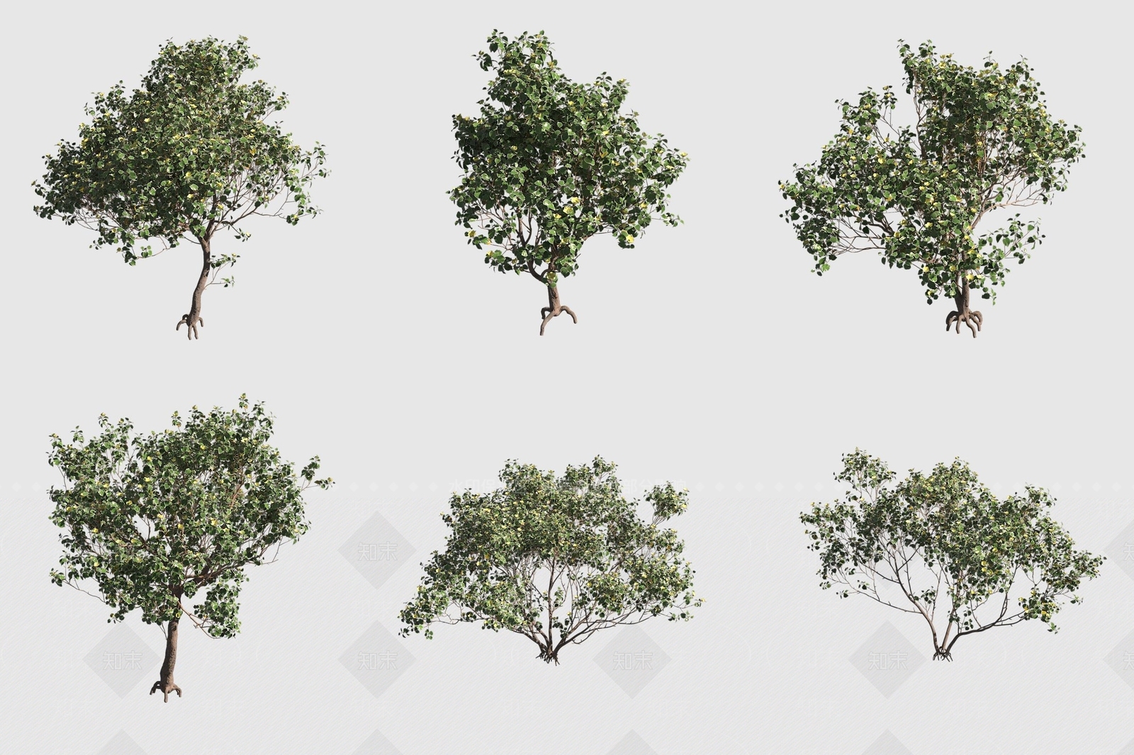 灌木3D模型下载【ID:1189059574】