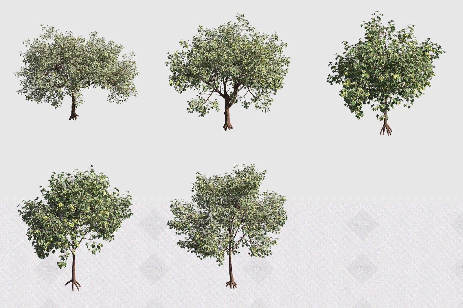 灌木3D模型下载【ID:1189060225】