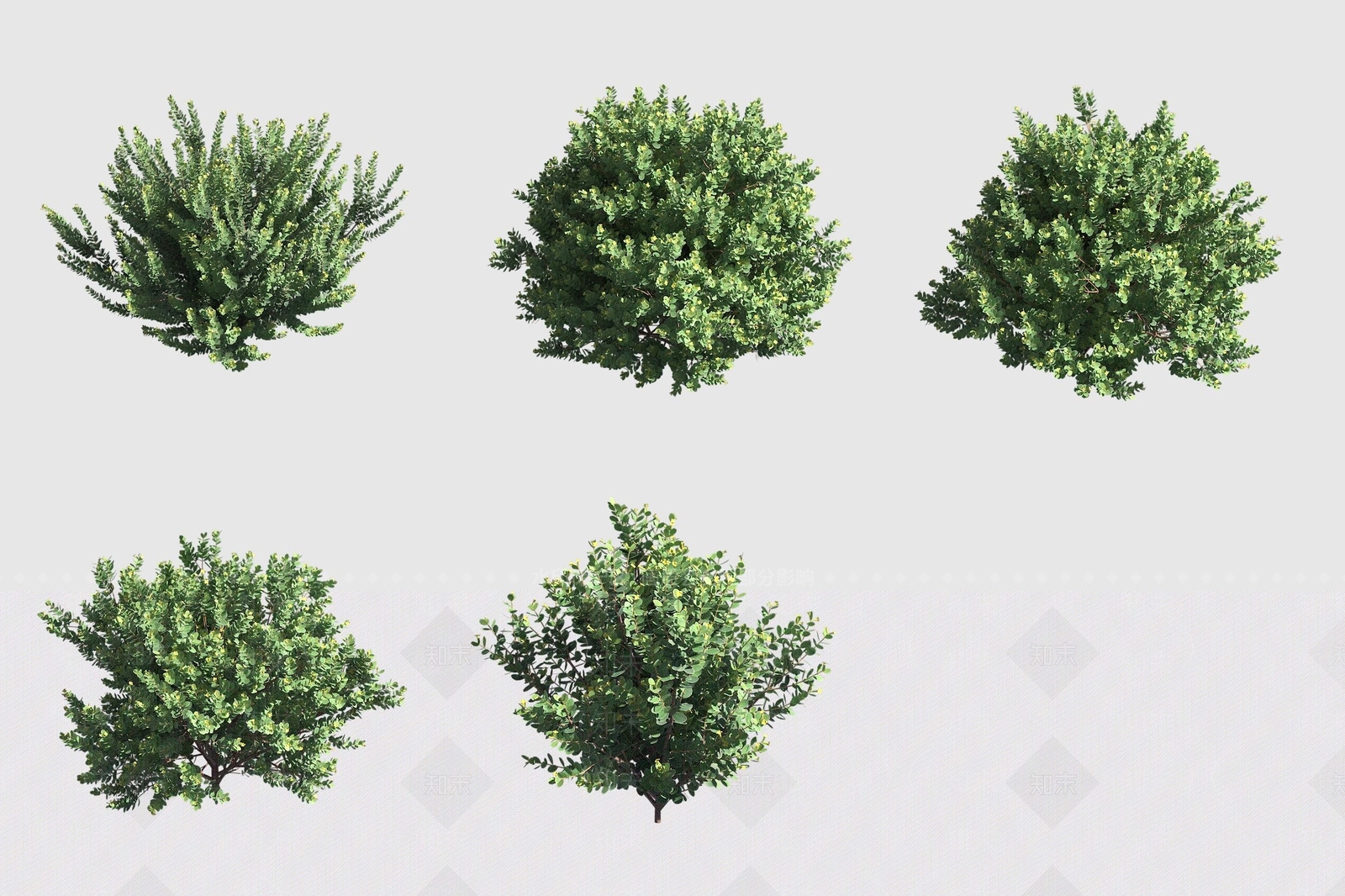 灌木3D模型下载【ID:1189060931】