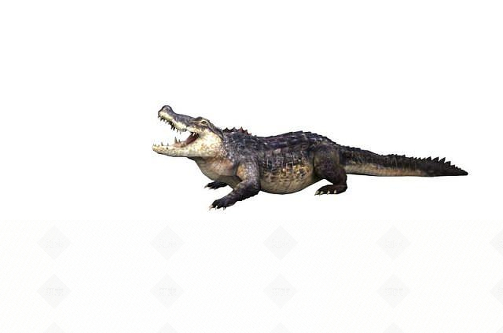 现代鳄鱼3D模型下载【ID:1189086853】