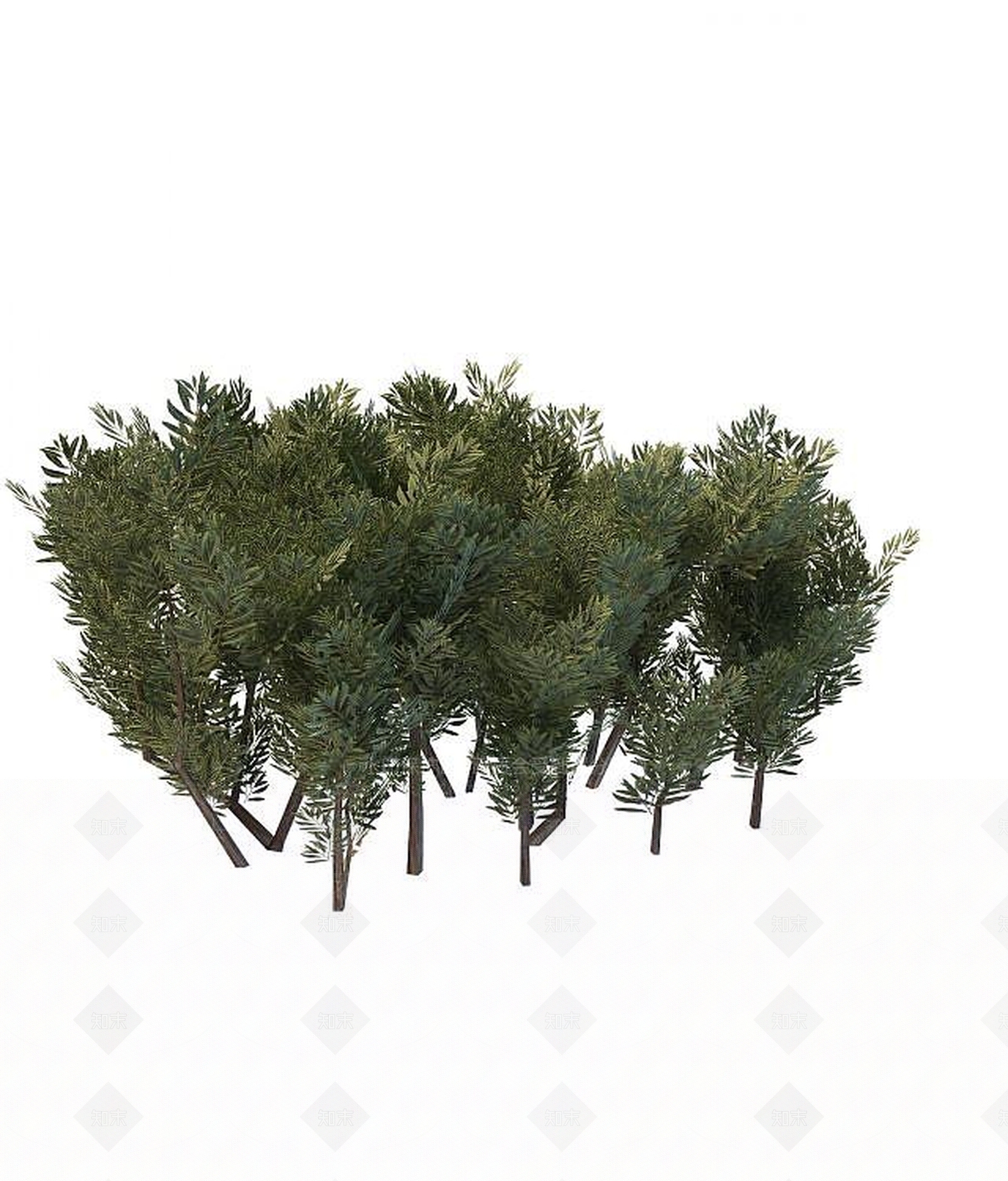 现代园林树木3D模型下载【ID:1189122564】