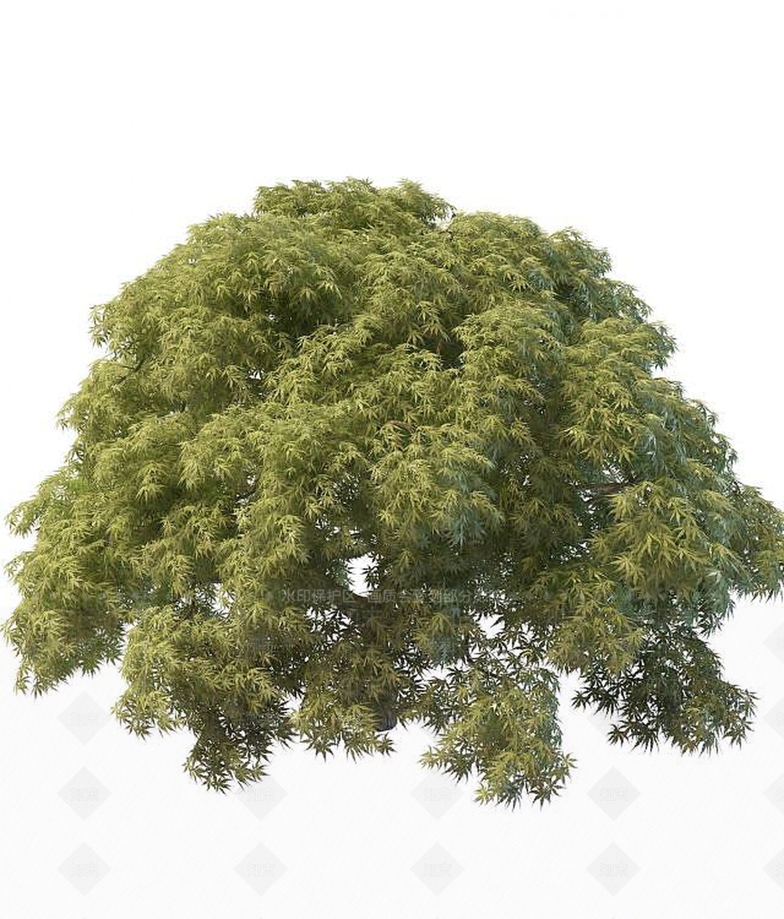 现代灌木3D模型下载【ID:1189129413】