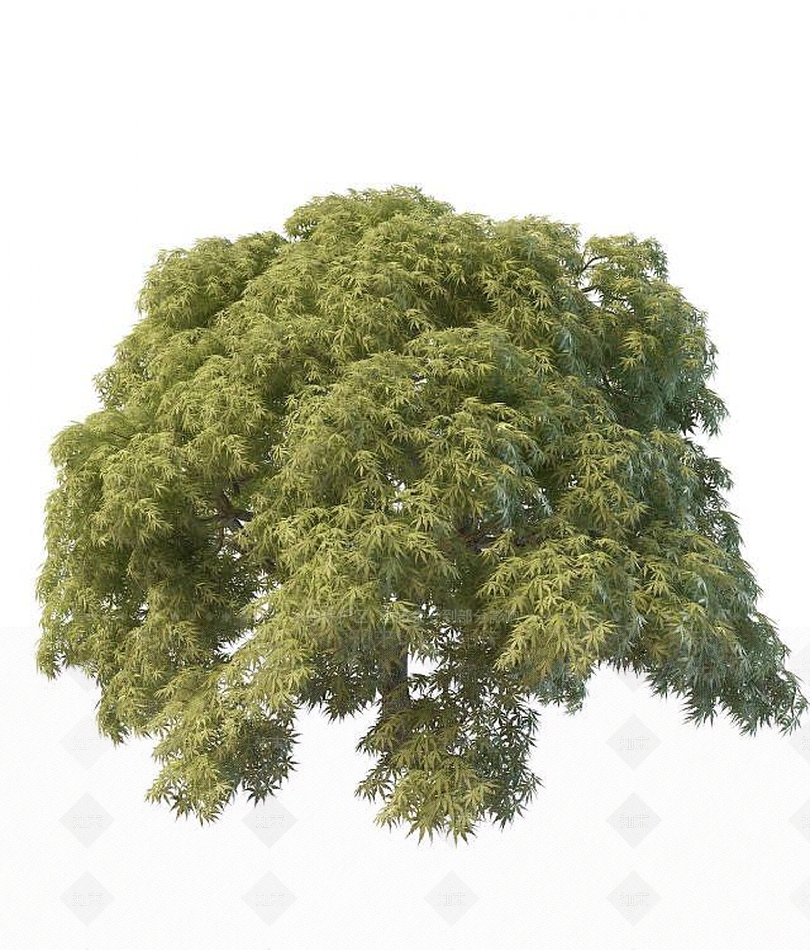 现代灌木3D模型下载【ID:1189129413】