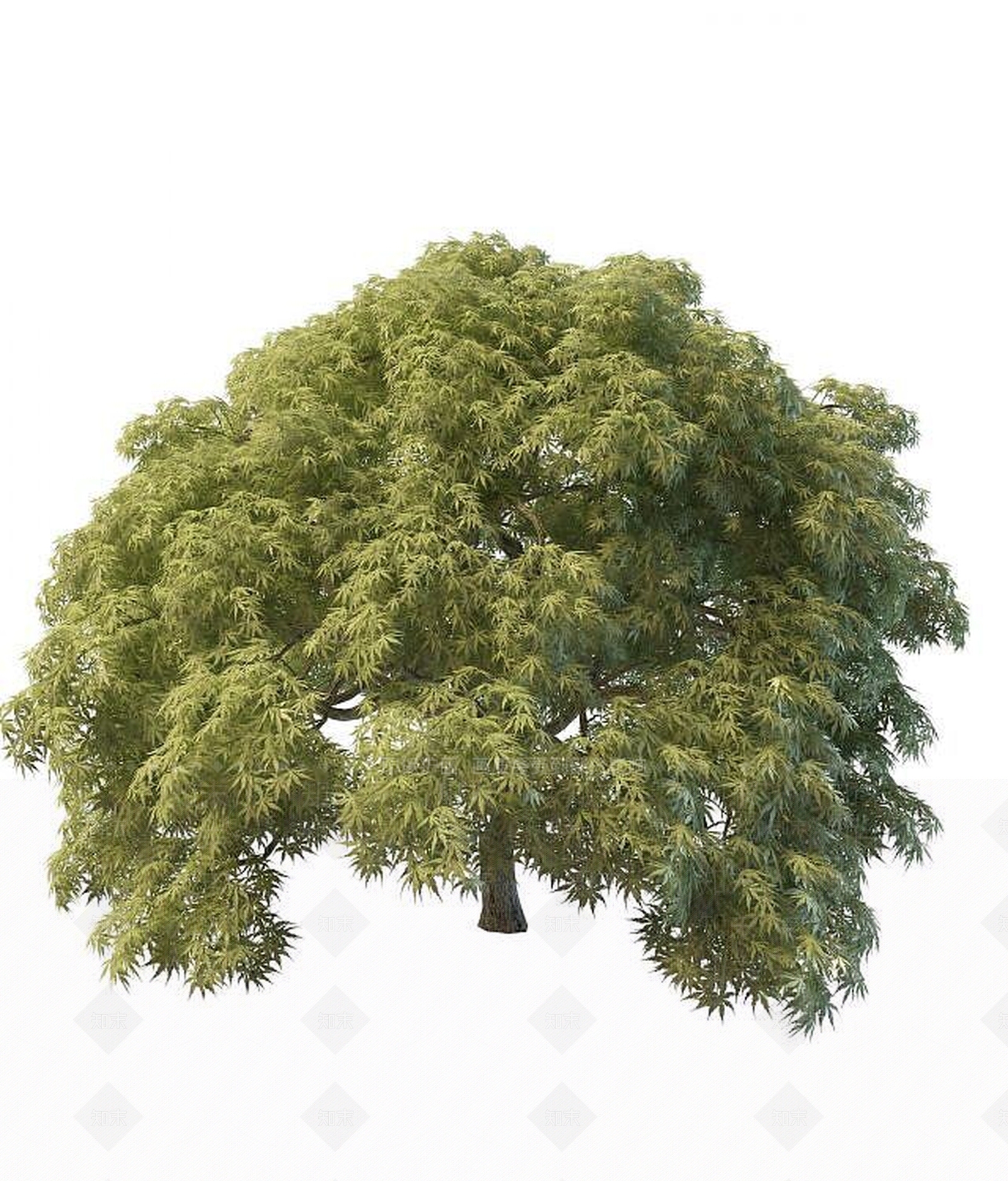 现代灌木3D模型下载【ID:1189129413】