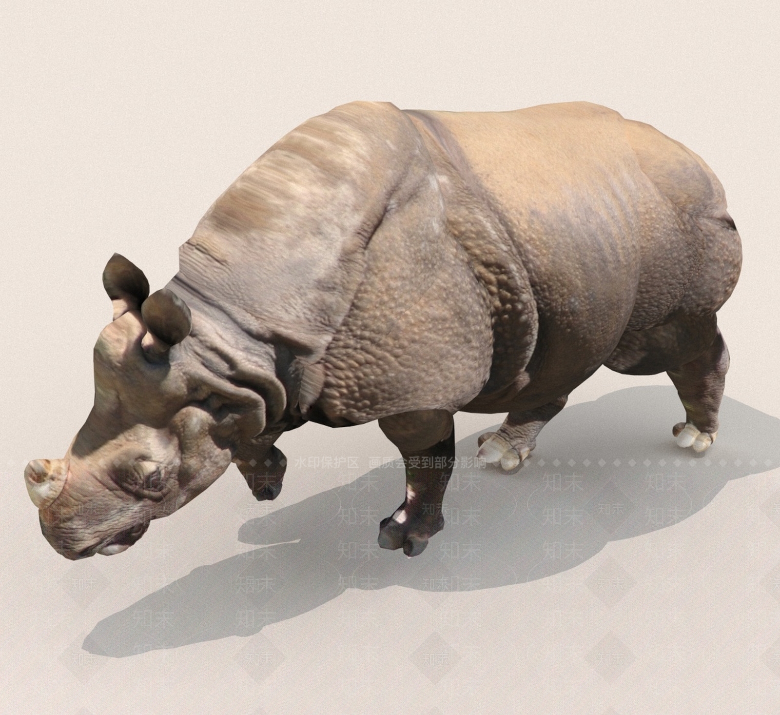 其他动物3D模型下载【ID:1189137237】