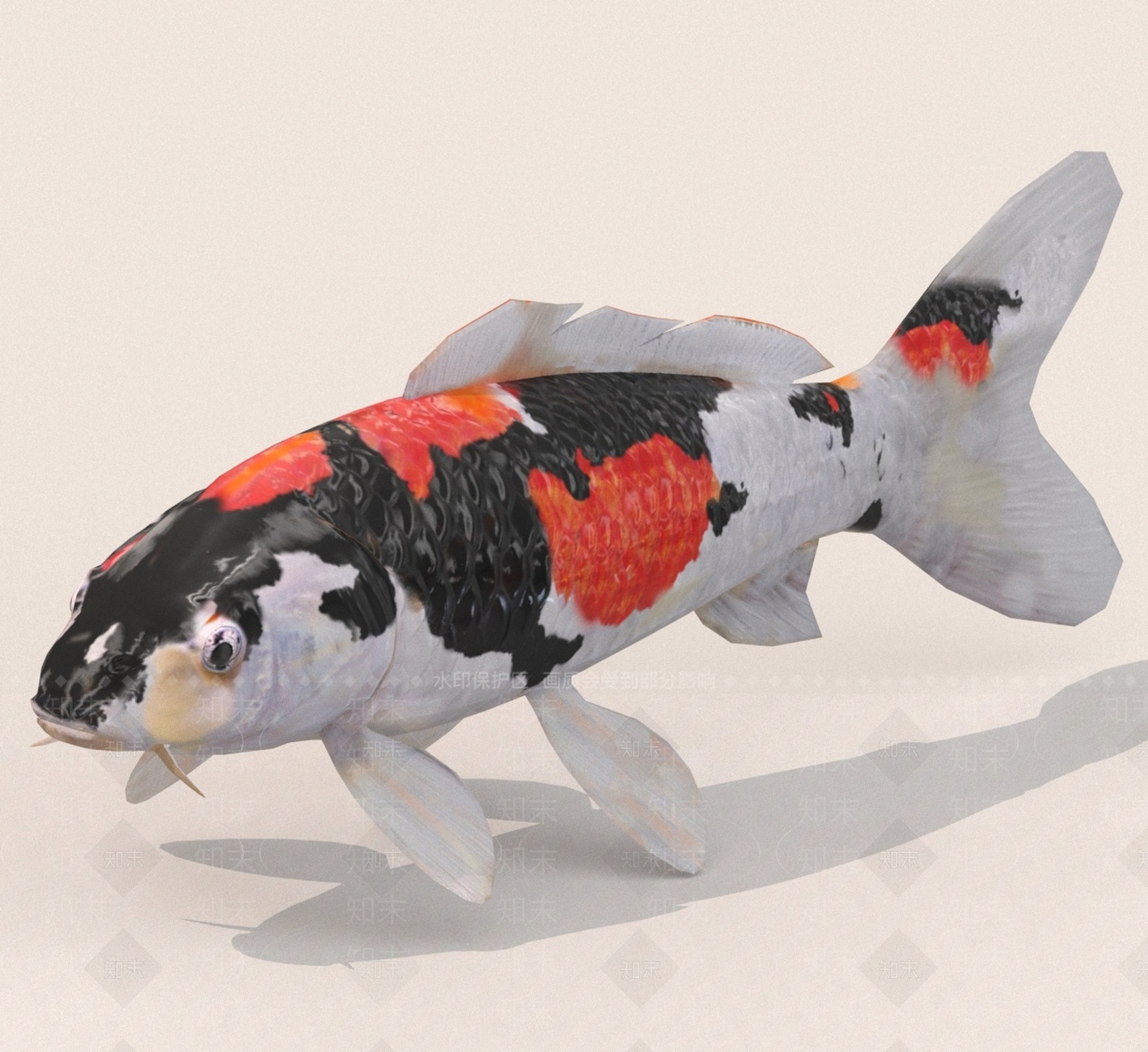 水生类动物3D模型下载【ID:1189137436】