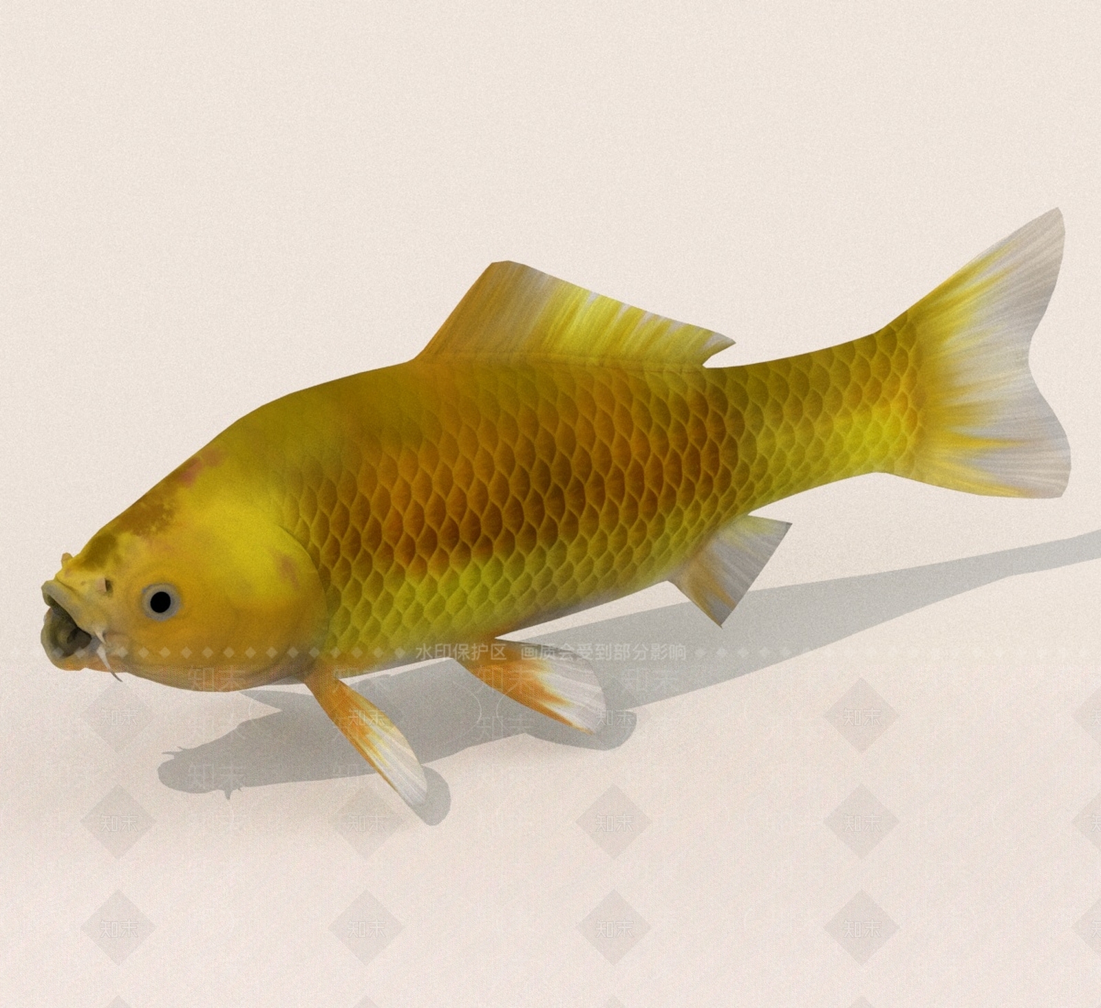 水生类动物3D模型下载【ID:1189137477】