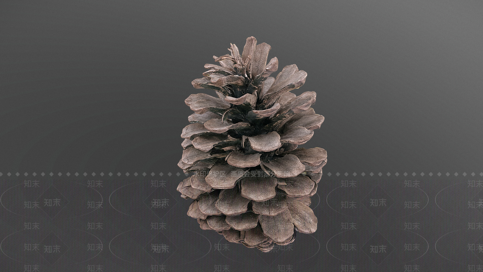 其他绿植3D模型下载【ID:1189173921】