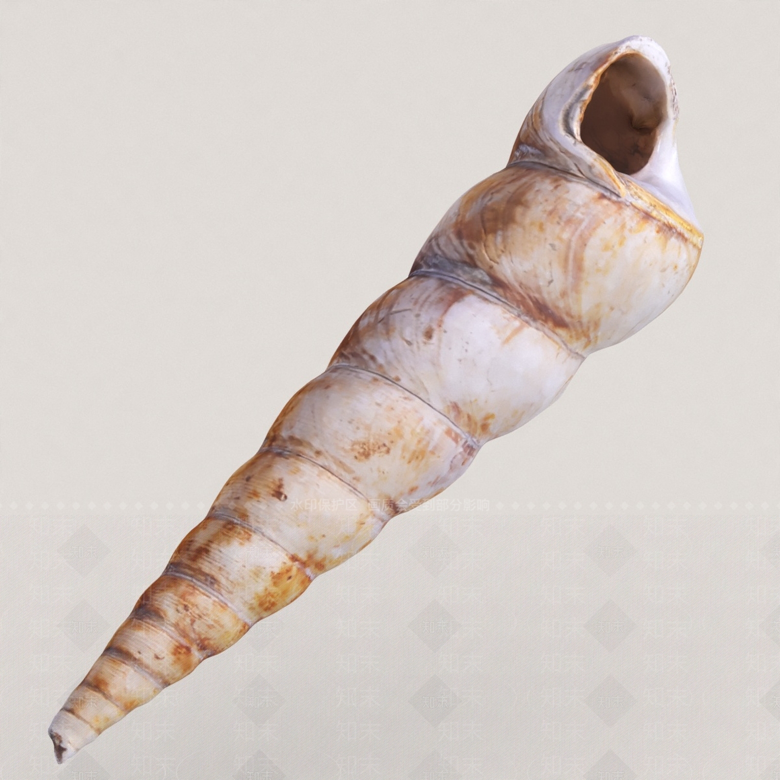 水生类动物3D模型下载【ID:1189179135】