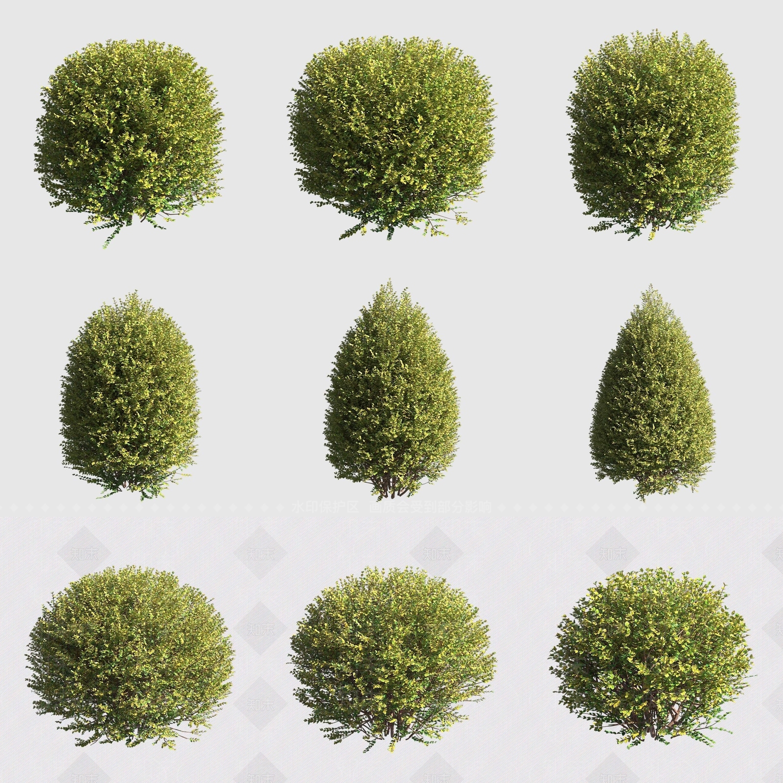 灌木3D模型下载【ID:1189184356】