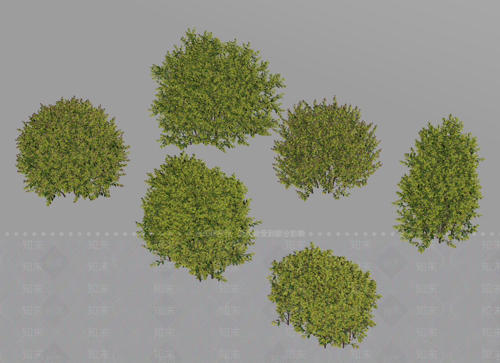 植物组合SU模型下载【ID:1189305404】